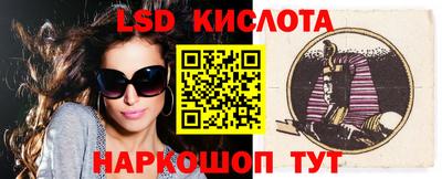 прущие грибы Гатчина