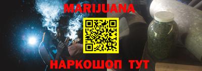 прущие грибы Гатчина