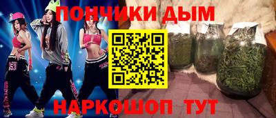 спиды Гай