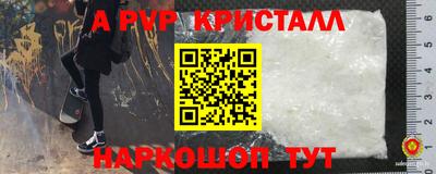 apvp Гусев