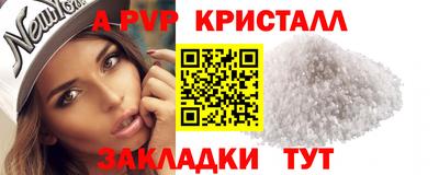 прущие грибы Гатчина