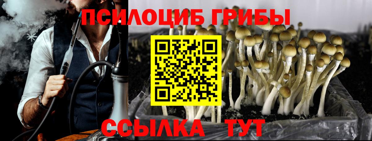 Гашиш  ЭКСТАЗИ  Канабис  МЕФ   Вход с VPN  Мурино  АМФЕТАМИН  