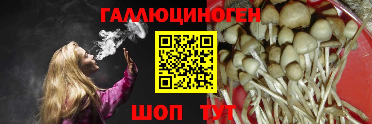 Галлюциногенные грибы GOLDEN TEACHER Мурино